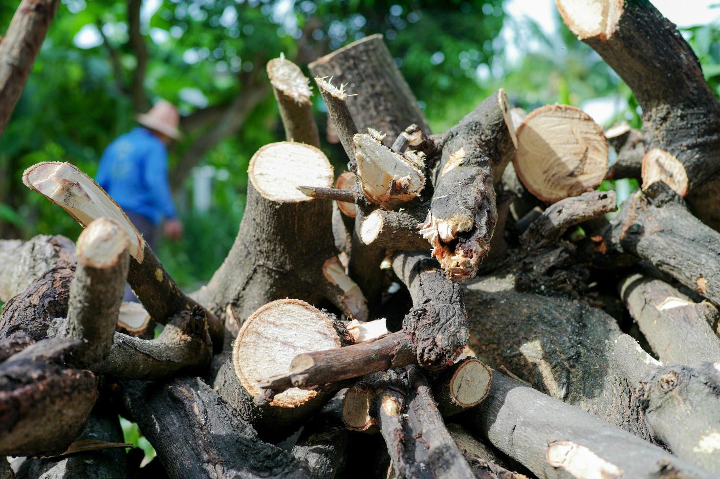 Close up pile of firewood with blurred worker in the background photo