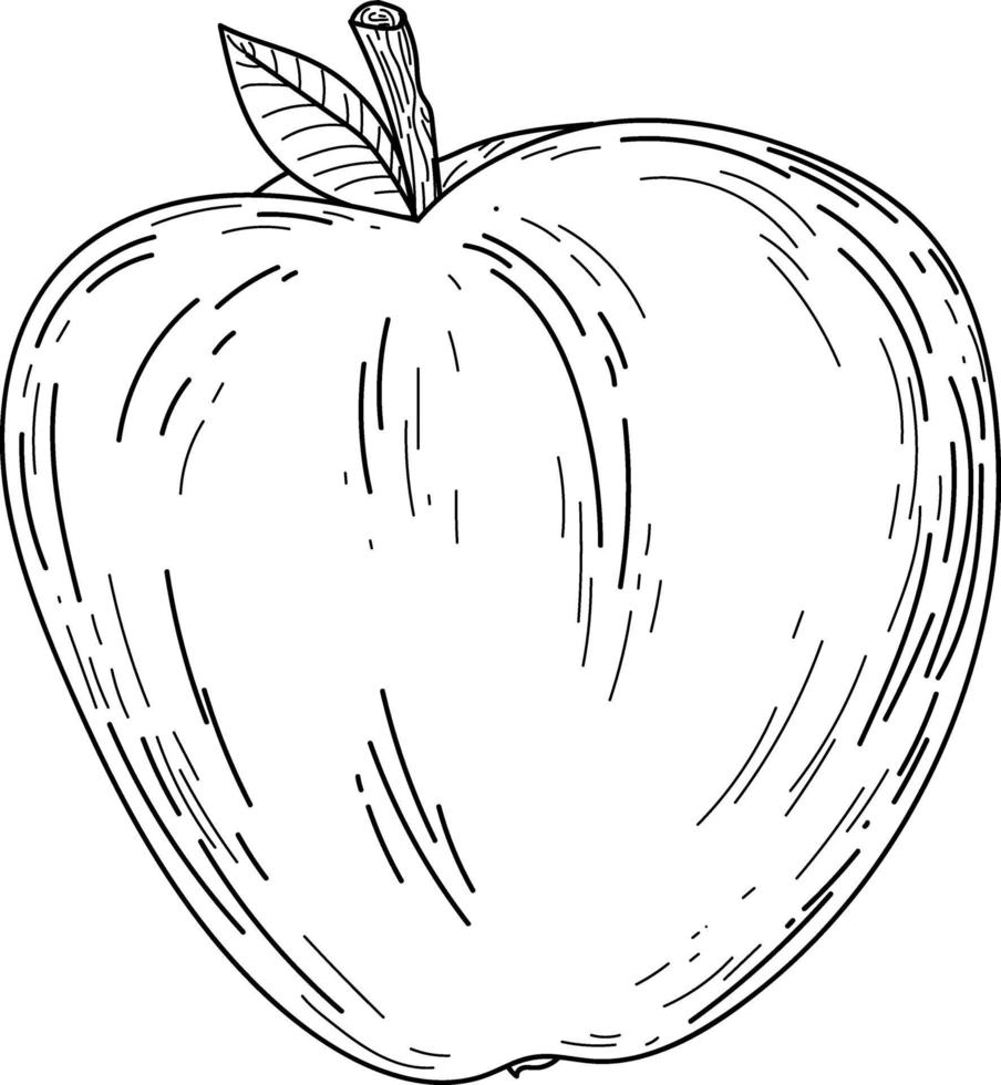 Doodle cute apple isolated line Hand drawn vector