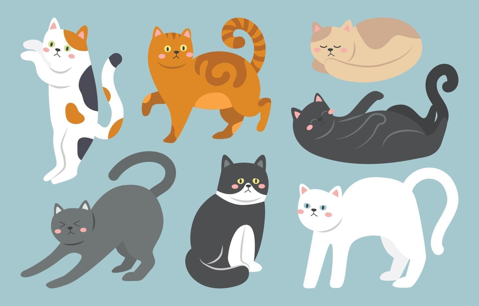 Cute Cat Character Set vector