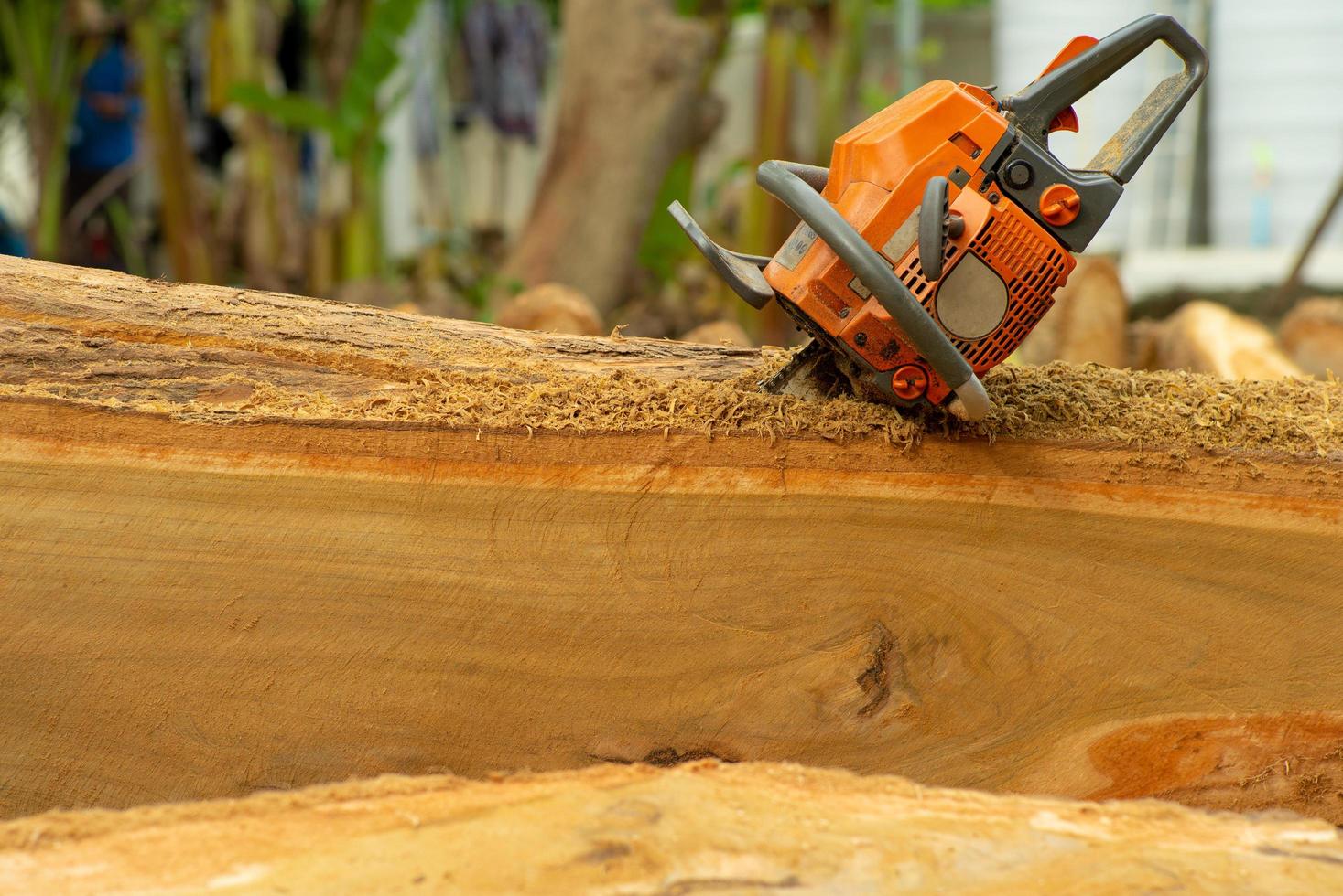 Chainsaw in a log during the cutting stage photo