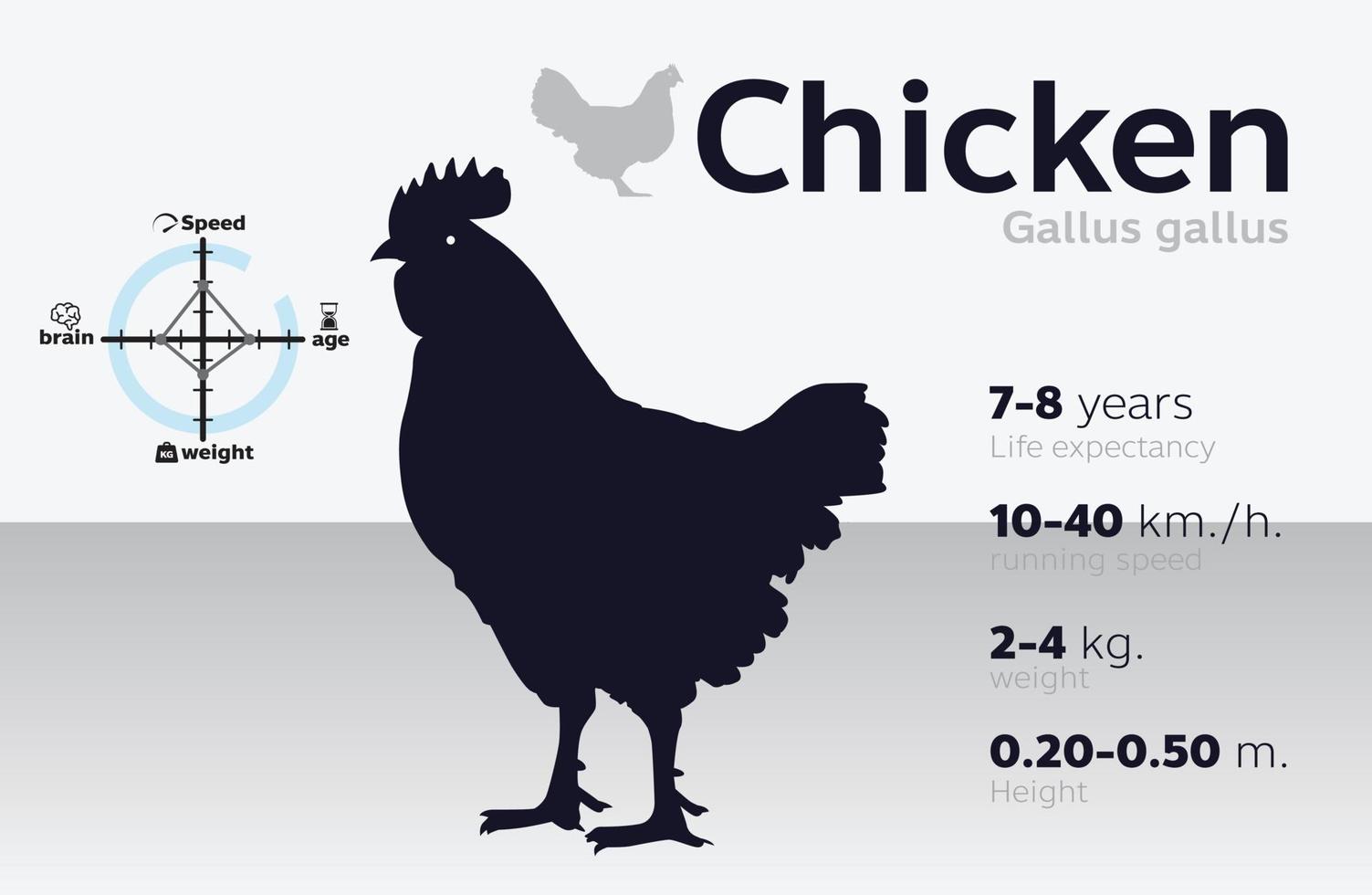 Ilustración de información de pollo en un vector de fondo 10