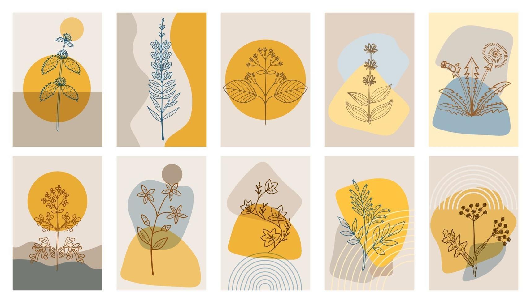 Conjunto de carteles abstractos de hierbas amargas vector