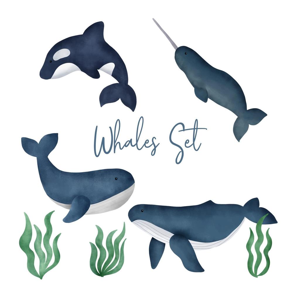 Watercolor whales set vector