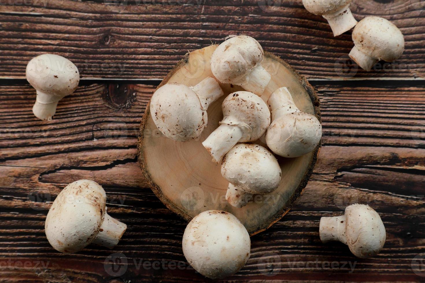 Top view of button mushrooms photo