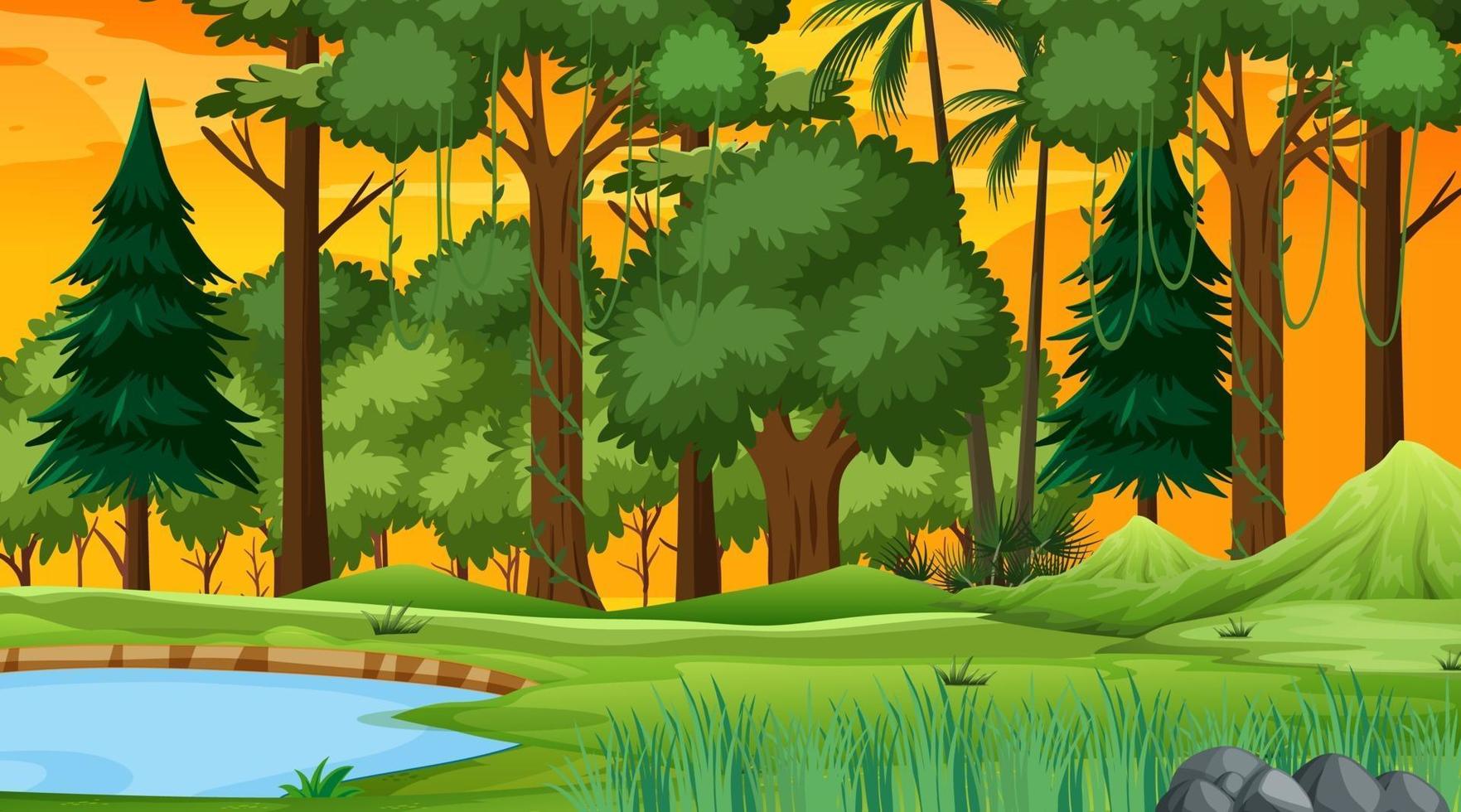 Forest nature scene with pond and many trees at sunset time vector