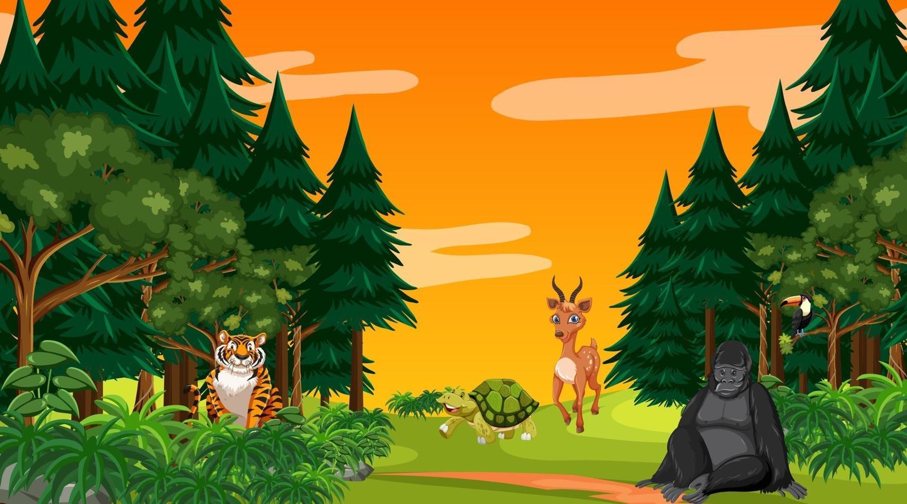 Forest at sunset time scene with different wild animals vector