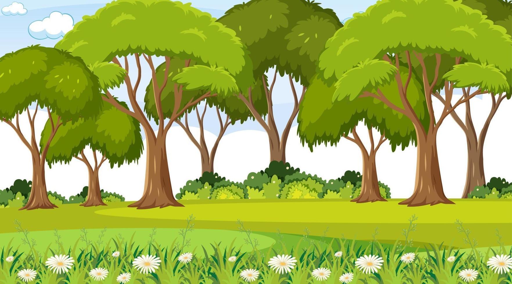 Escena del parque natural vacío con muchos árboles. vector