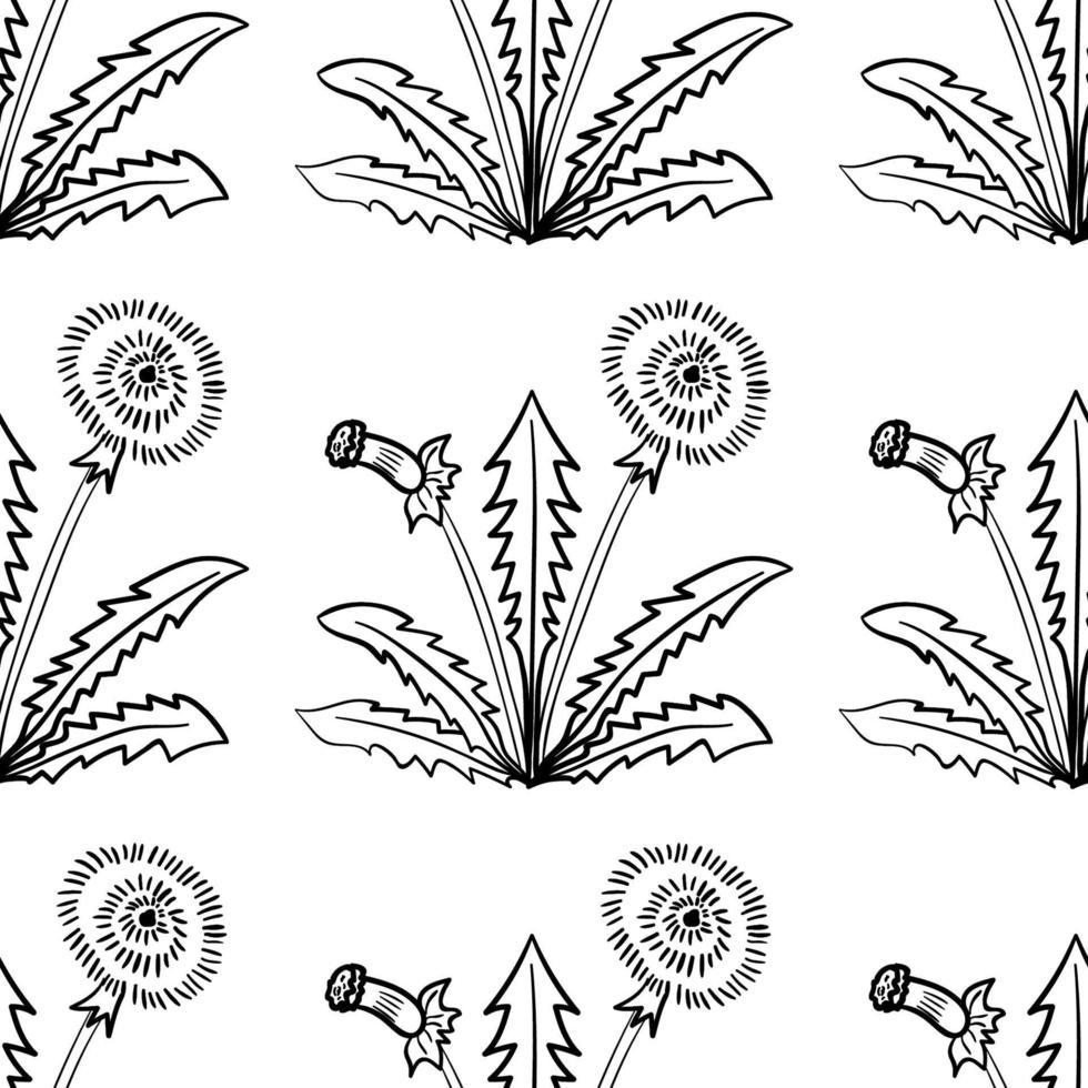 dandelion seamless bw vector