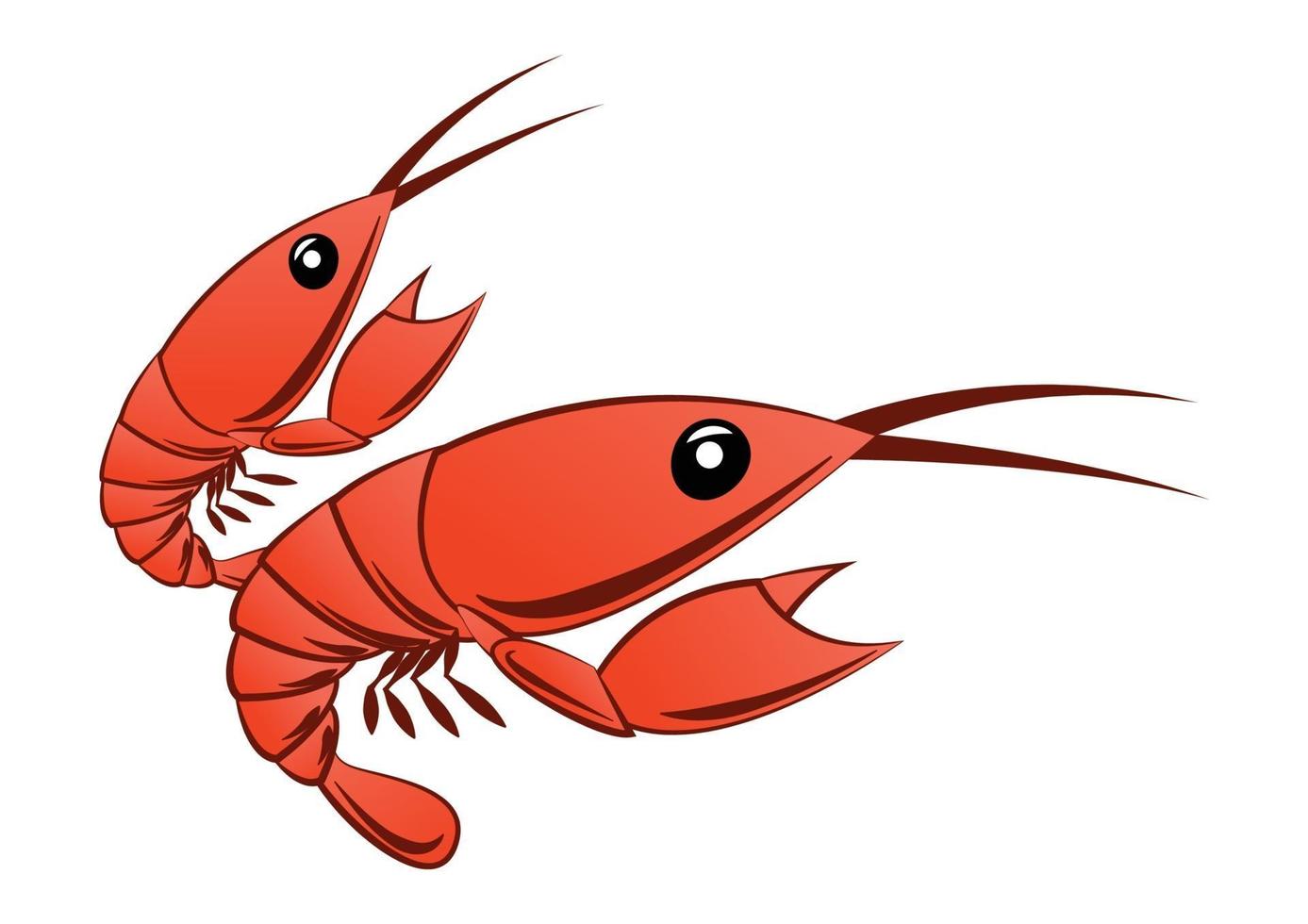 cartoon version of shrimp vector