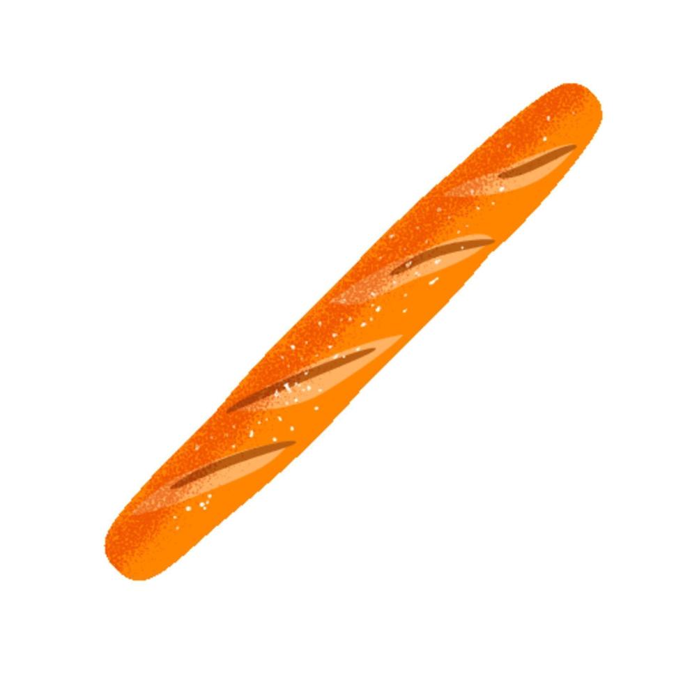 Vector design of fresh baguette loaf