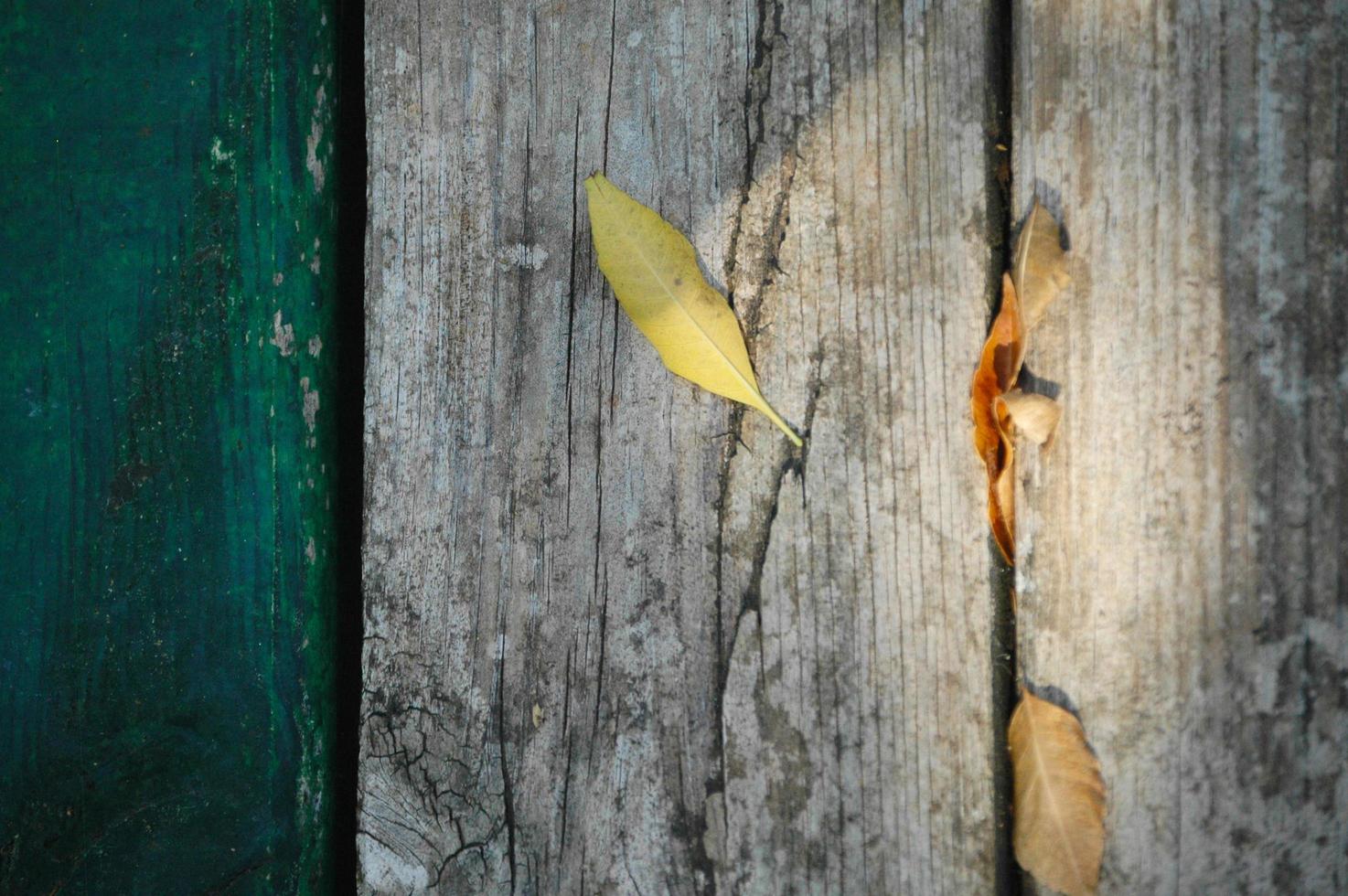 Background texture with old wood and yellow autumn leaves photo
