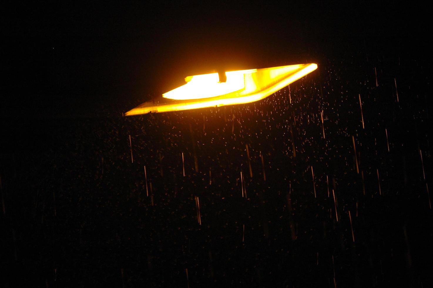 farola en una noche lluviosa foto