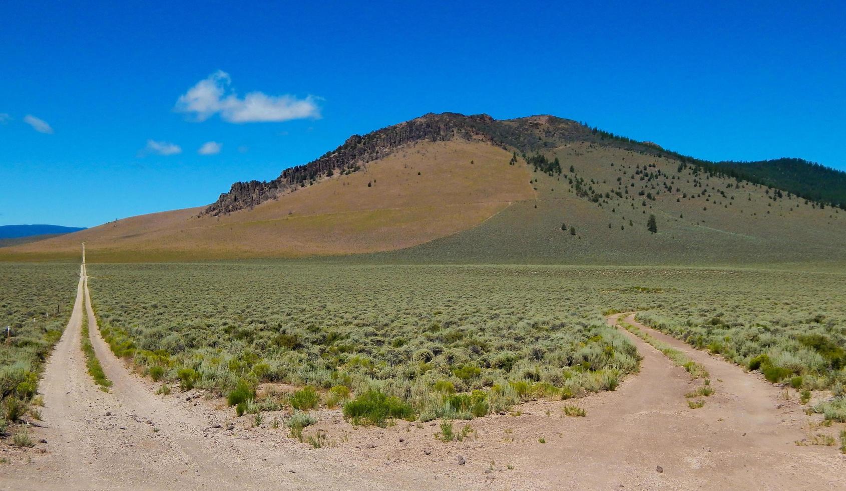 amplios espacios abiertos - una vista del extremo sur de la montaña de pinos - cerca de Millican, o foto