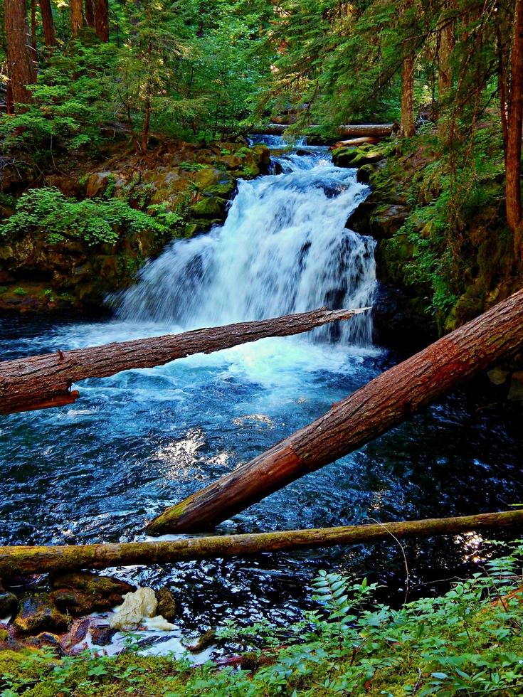 el caballo blanco - vista de verano de whitehorse falls en el río clearwater - al oeste de diamond lake, o foto