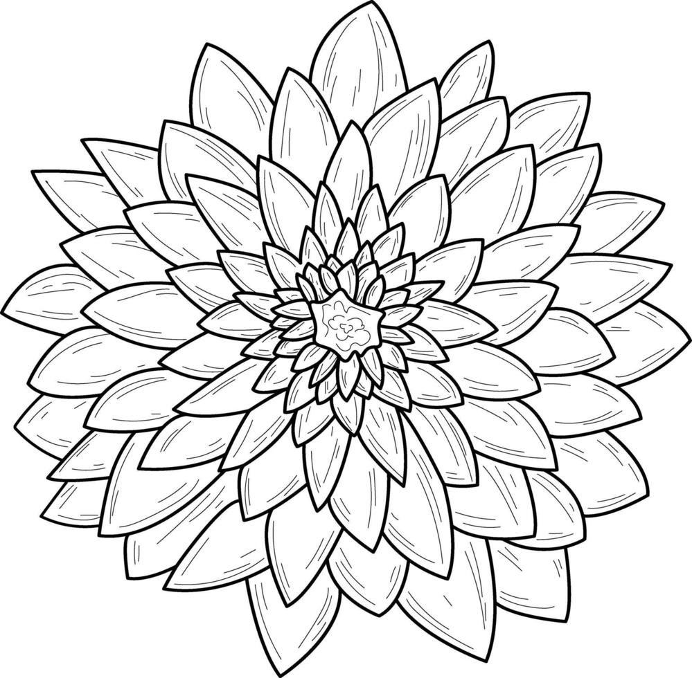 Doodle flower isolated line Hand drawn vector illustration coloring Sketch for a tattoo