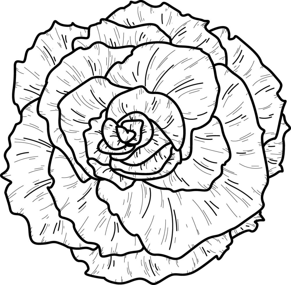 Doodle rosa flor línea aislada dibujado a mano ilustración vectorial boceto para colorear de un tatuaje vector