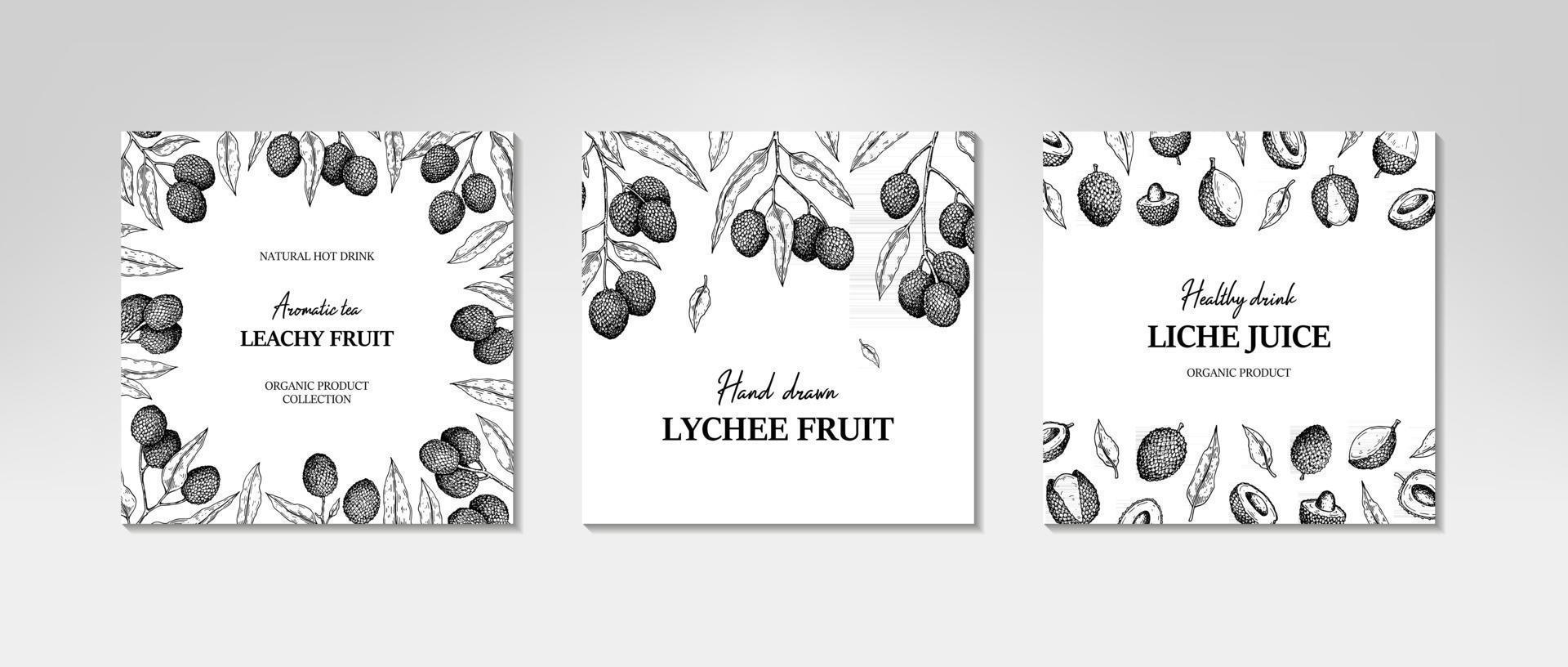 Set of hand drawn lychee designs for packaging vector