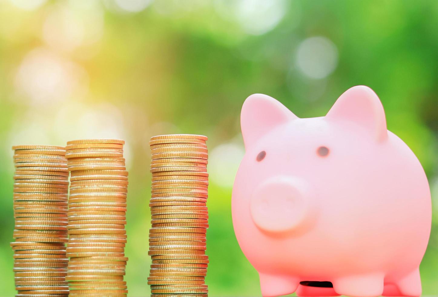 Piggy bank and coin with natural blurred background photo