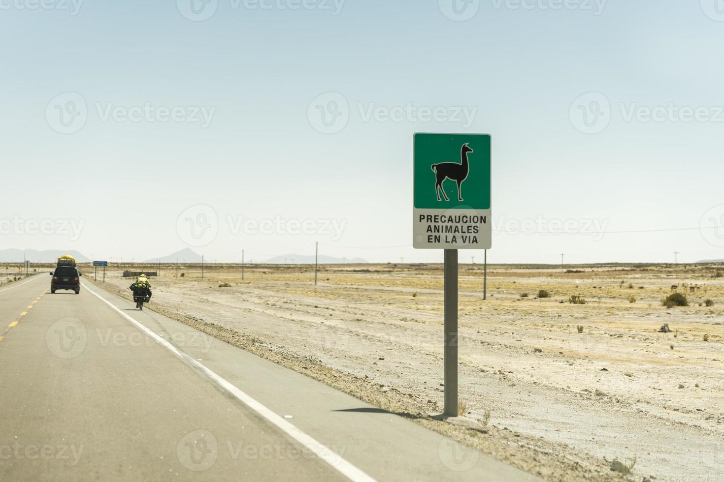 Llama signal on Bolivia Road photo