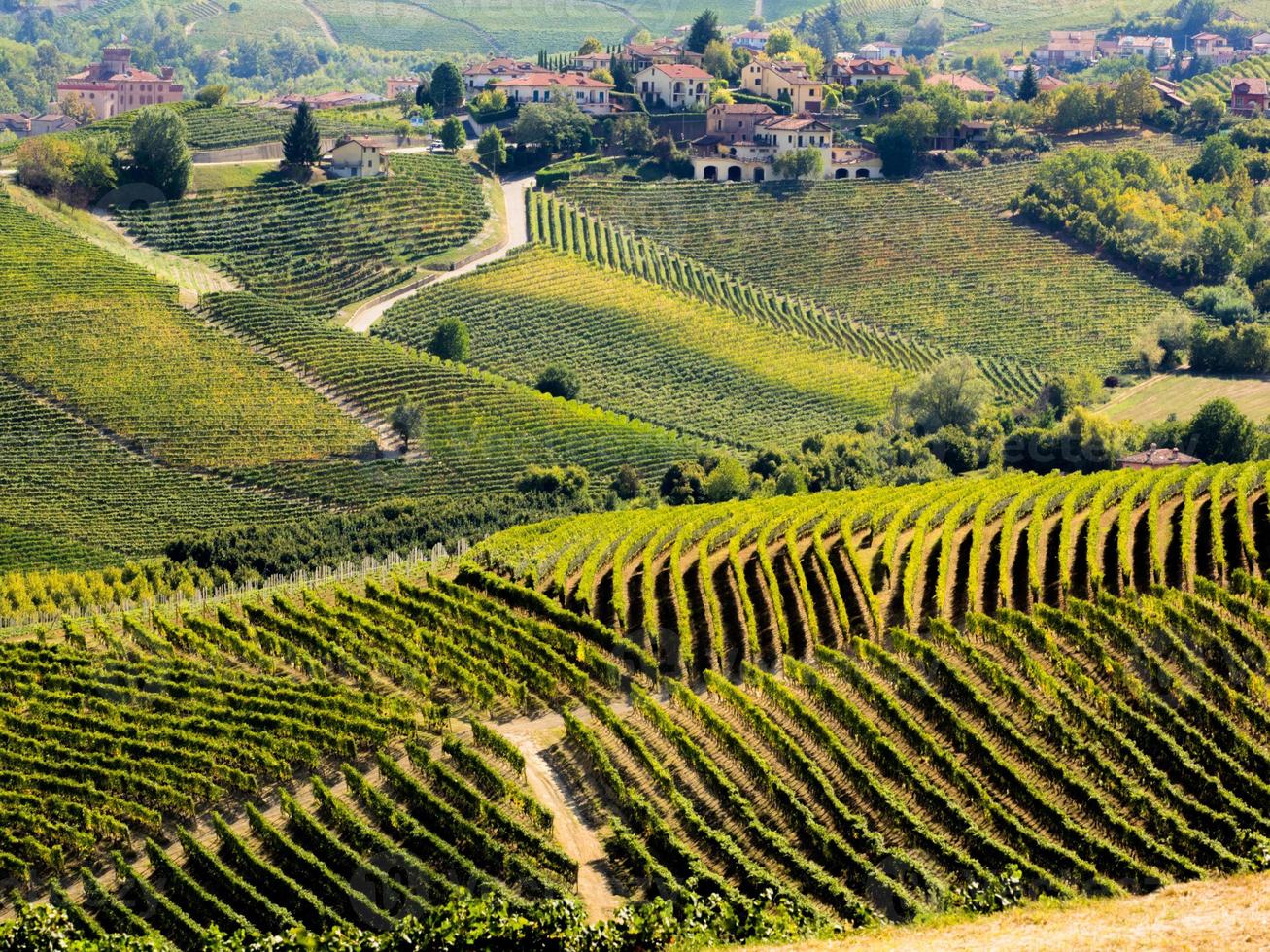 langhe viñedos y colinas en otoño foto