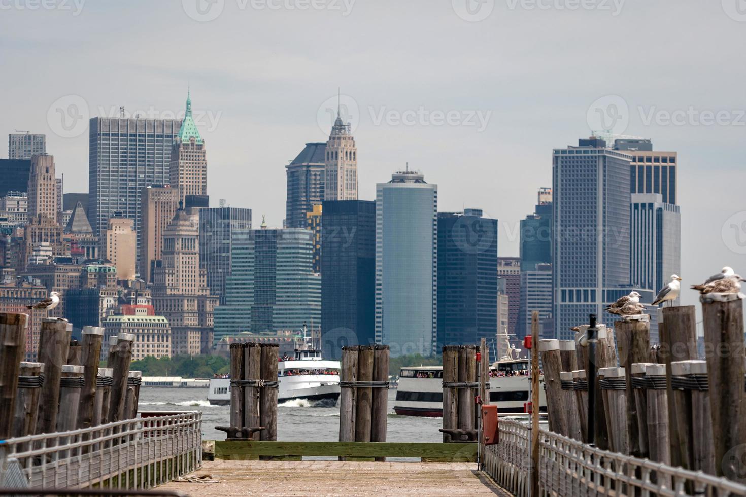 Seagulls at the Old Ferry Dock on Liberty Island near New York City, USA - Image photo