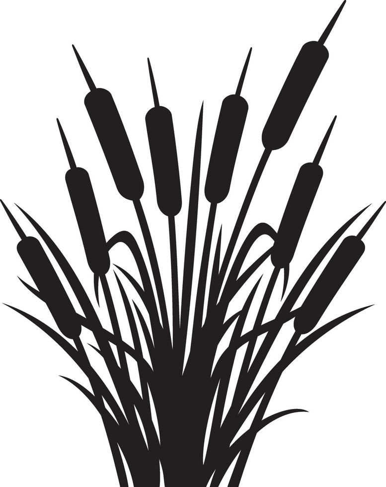 Reeds silhouette - bulrush and grass vector