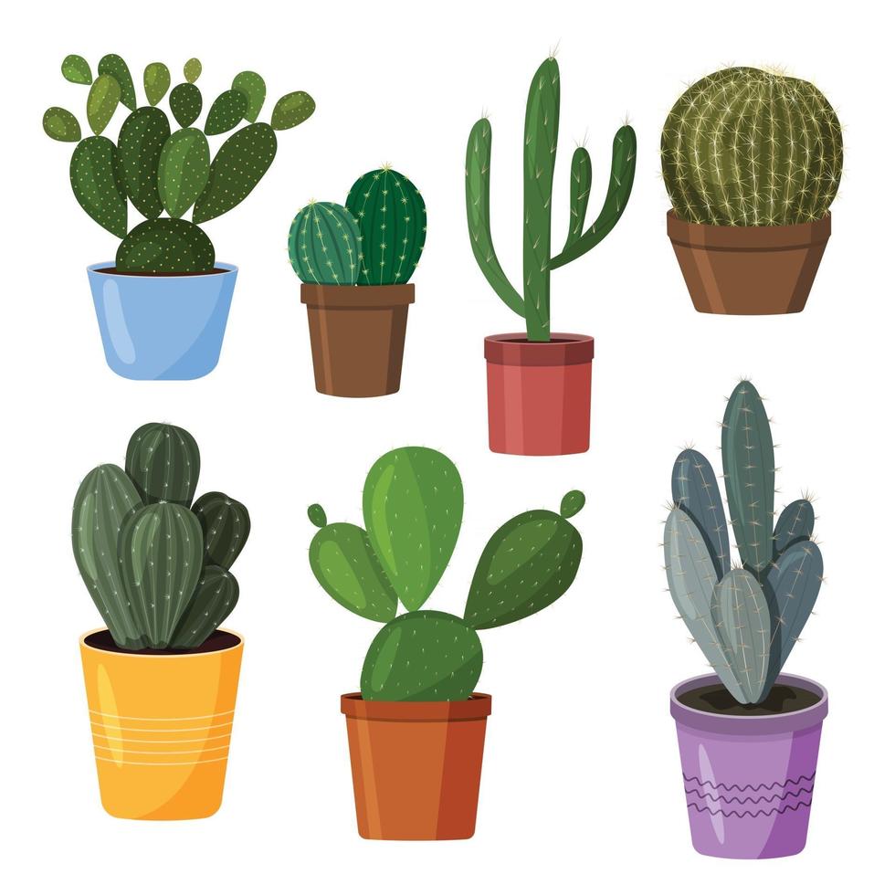 A set of cacti in pots Vector image in a flat style A colorful collection of indoor cacti
