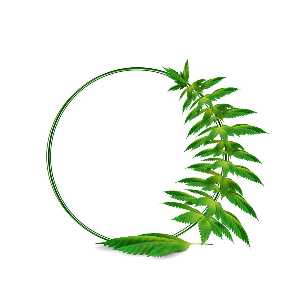 marco de círculo de hojas de cáñamo alrededor de un espacio vacío blanco. Plantilla de marco de hoja de cannabis para la industria del cannabis. vector
