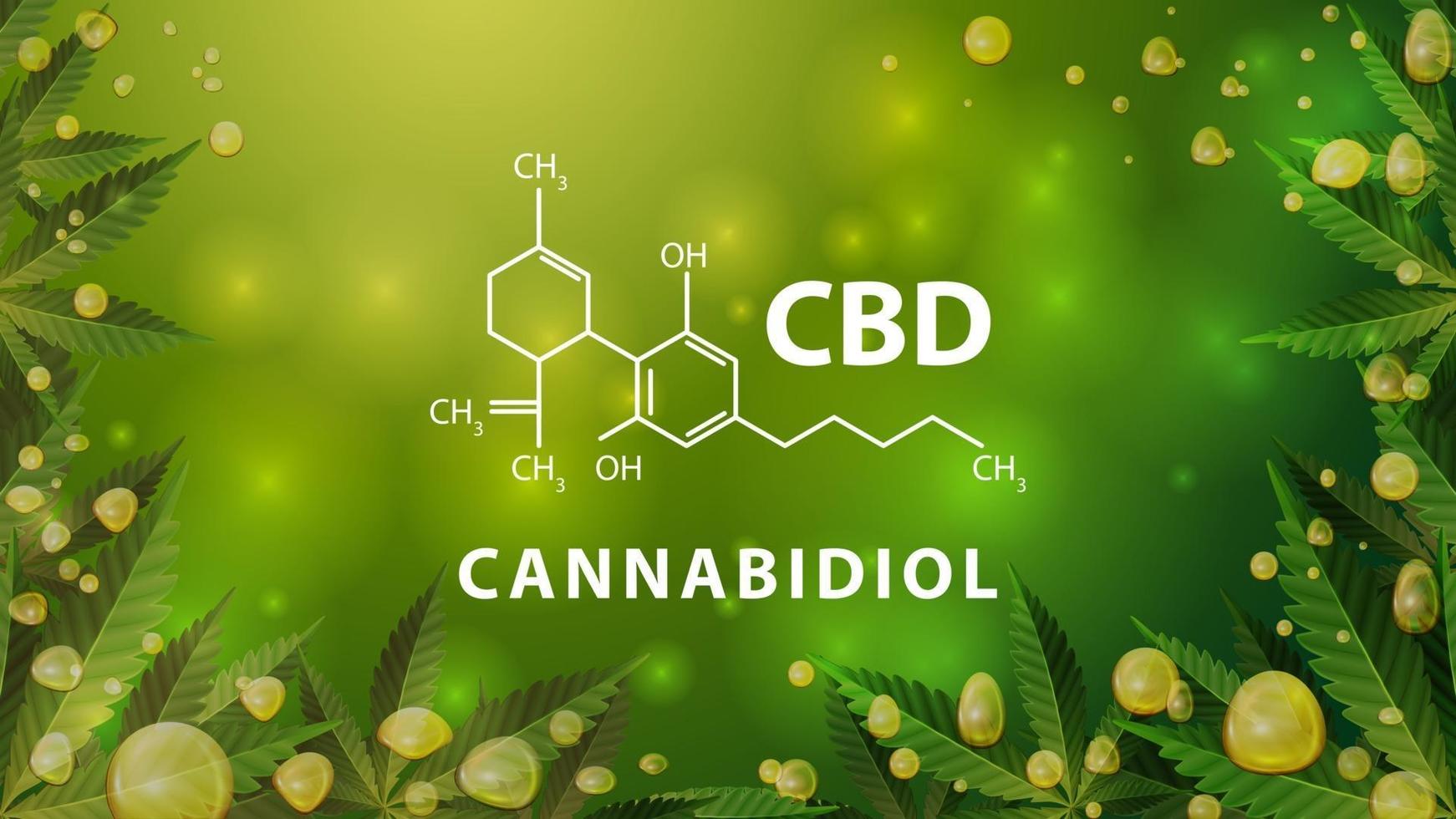 Chemical formula of CBD cannabidiol on green blurred background with cannabis leafs, and CBD oil gold bubbles vector