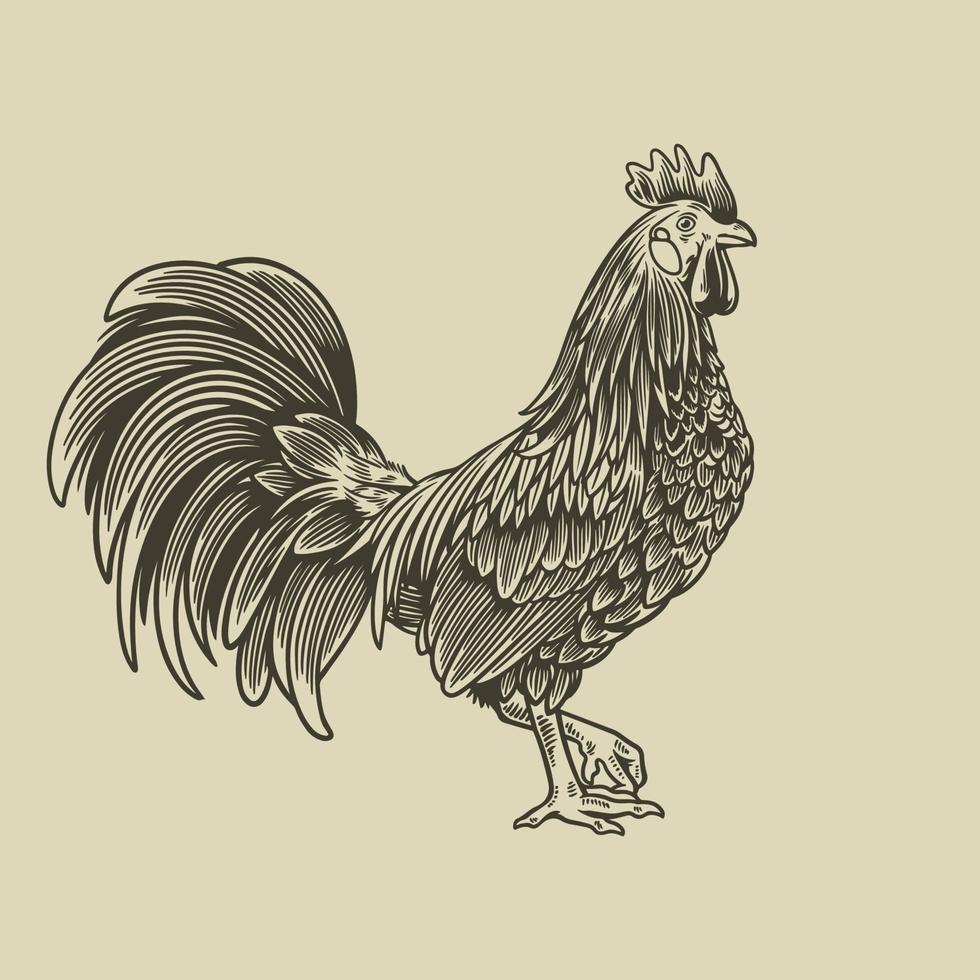 Ilustración de dibujado a mano de gallo en estilo de grabado vintage. etiqueta engomada del vector para las granjas y la fabricación que representan la lista. etiqueta grunge para el producto de pollo. pintura de la granja de gallo