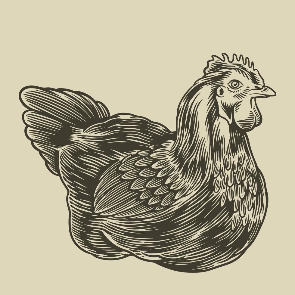 Hen hand drawn illustration. Poultry, broiler, farm animal minimalist concept. Badges and design elements for the chicken manufacturing. Vector illustration  in vintage engraving or etching style