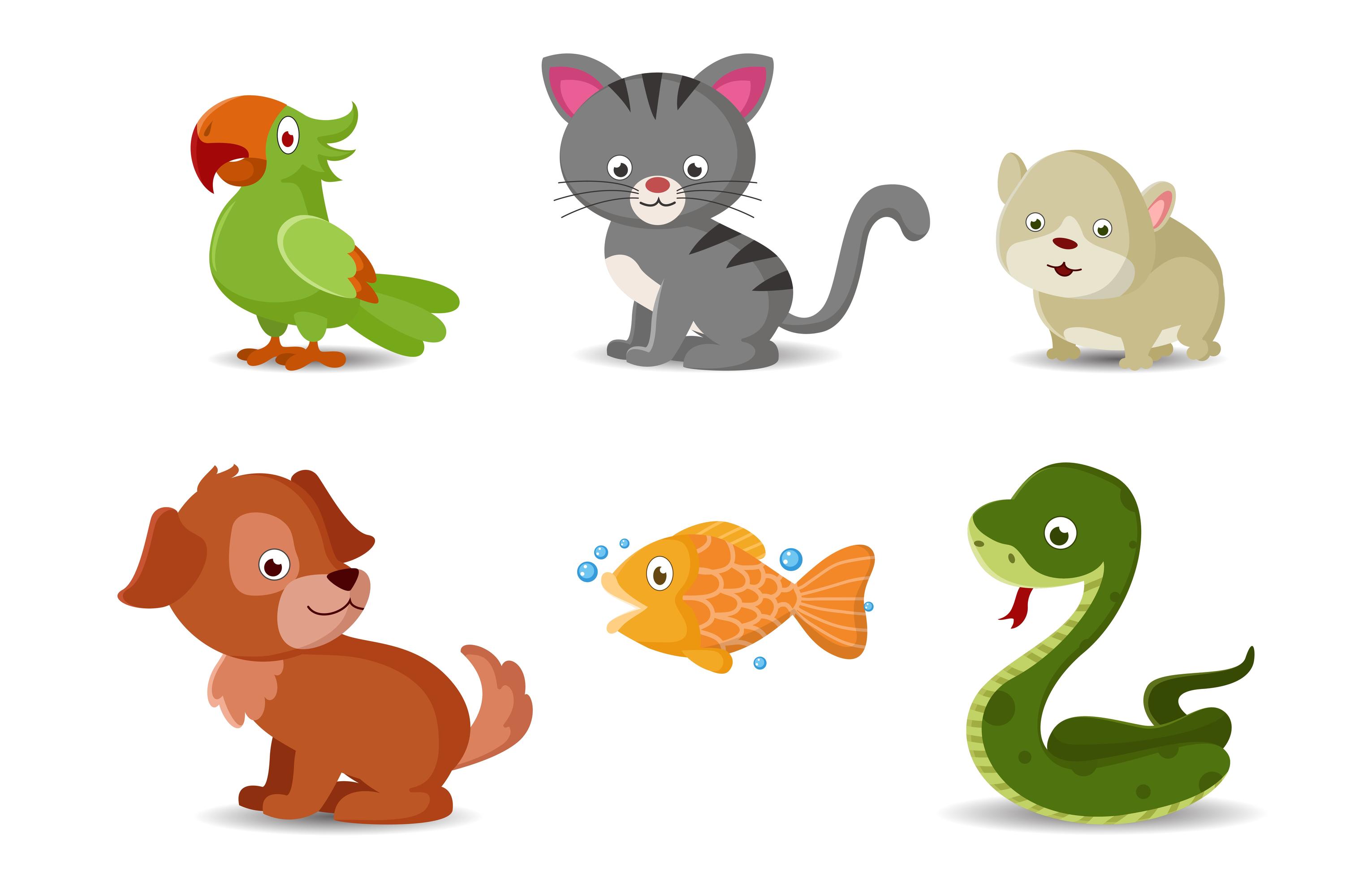 Pets Cartoon Collection 2388173 Vector Art at Vecteezy