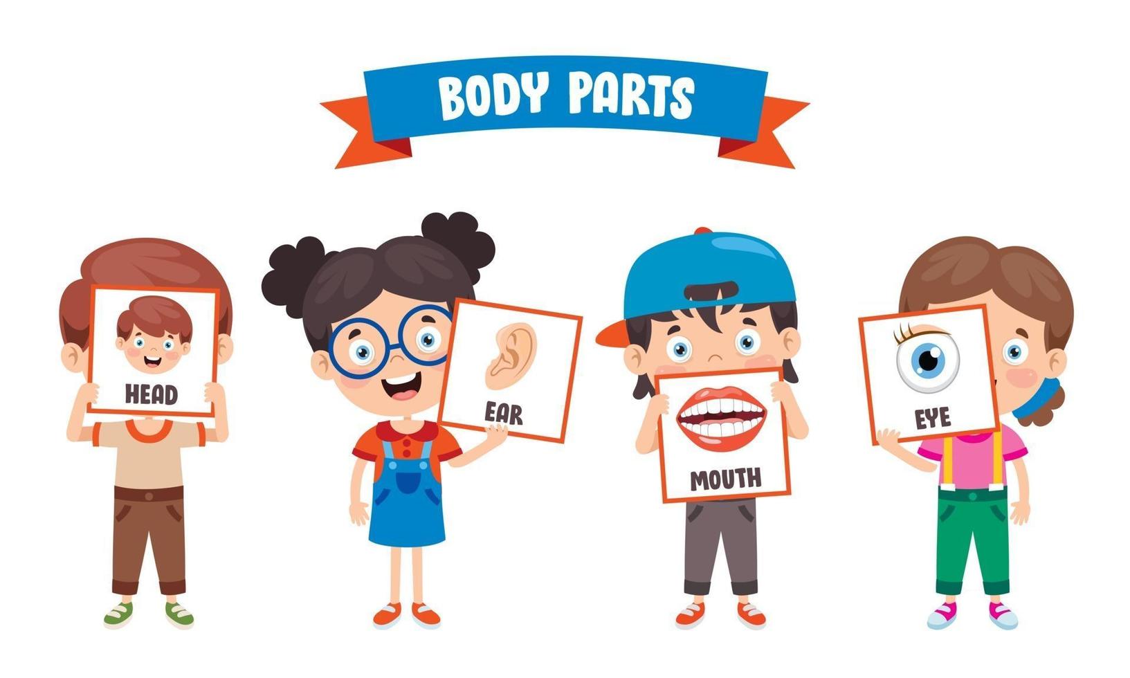 Funny Child Showing Human Body Parts vector