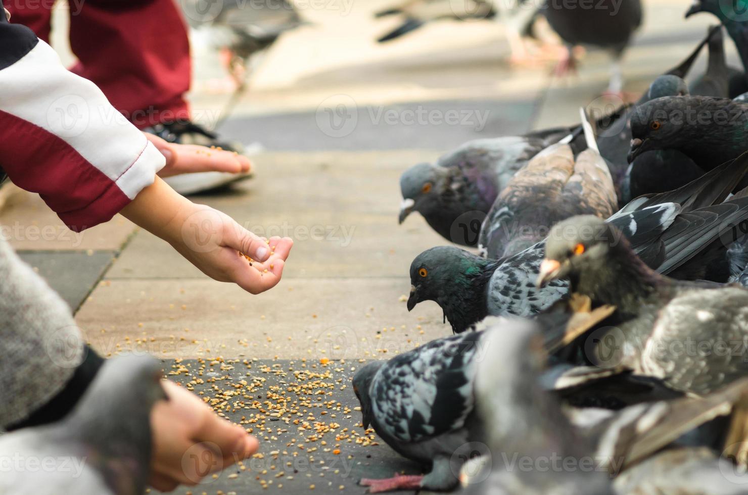 niños alimentando palomas foto