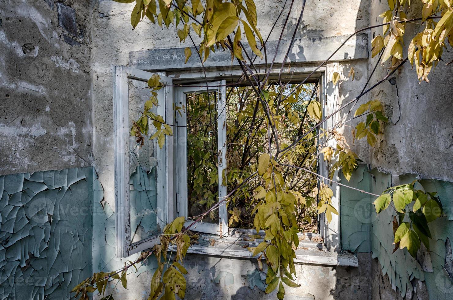 View from the window of an abandoned abandoned house in Ukraine photo