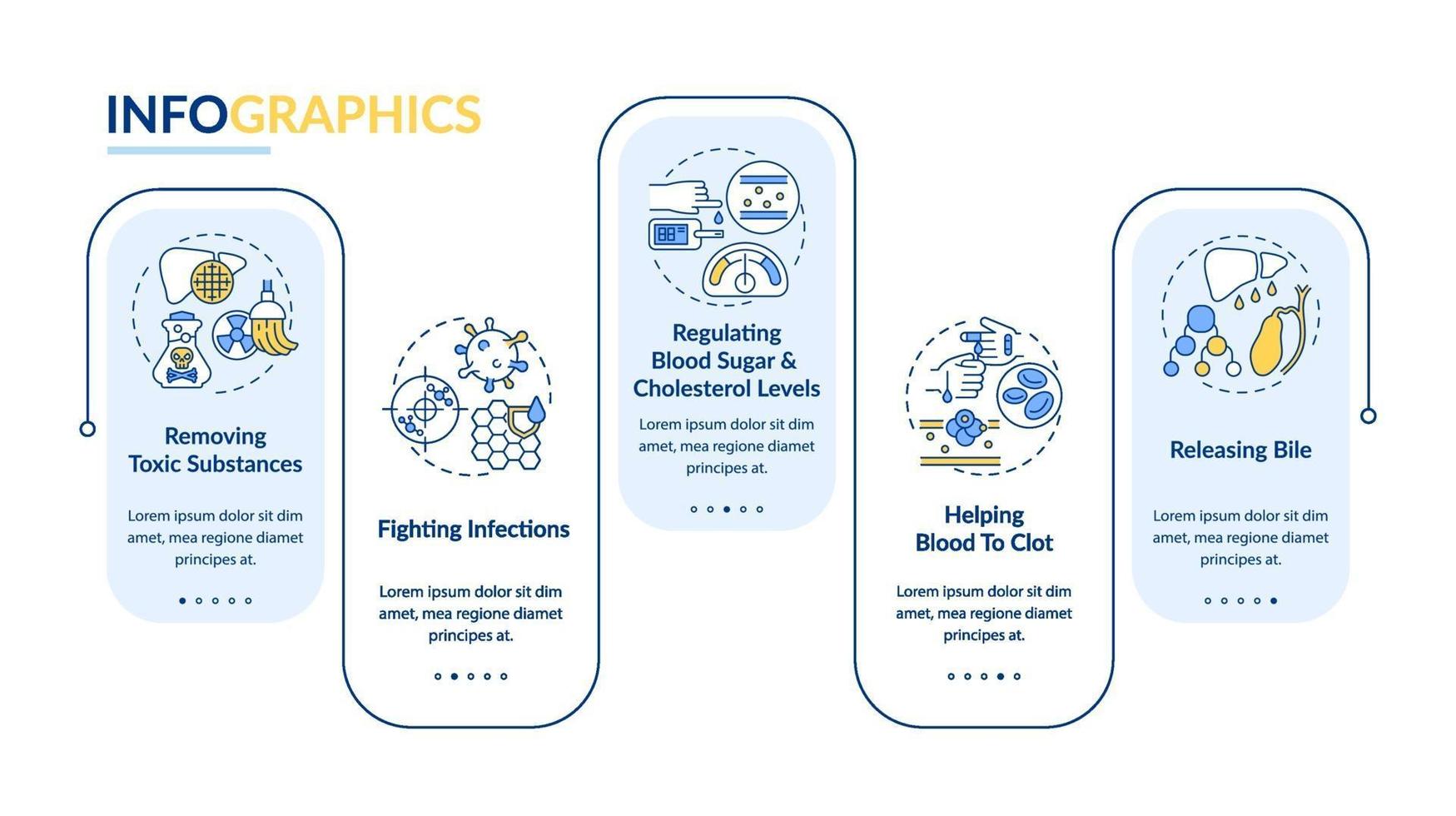 Liver roles vector infographic template