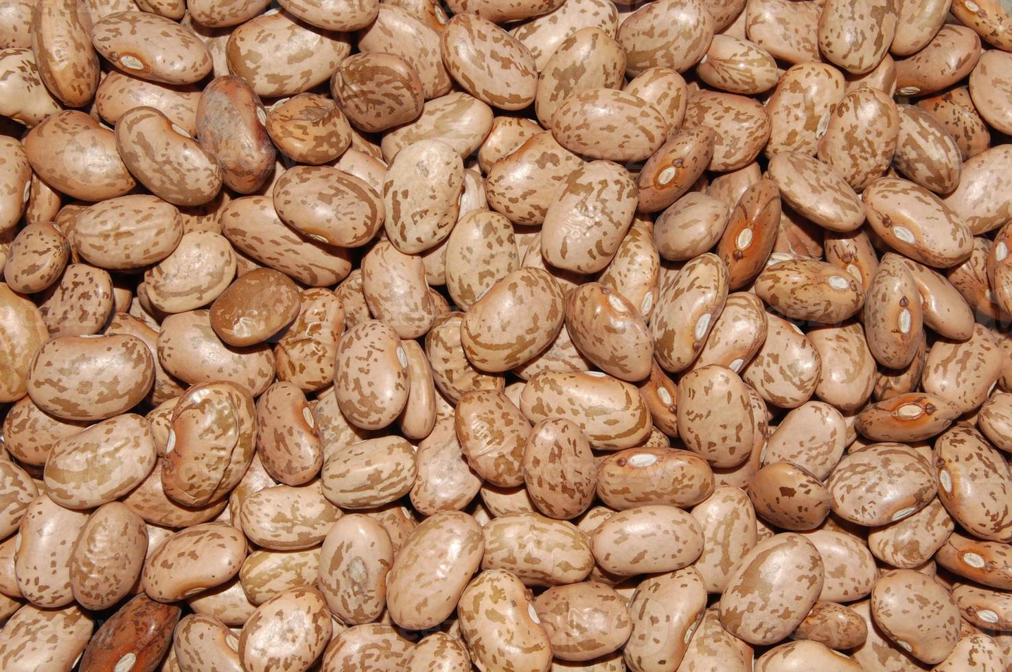 Close-up of pinto beans photo