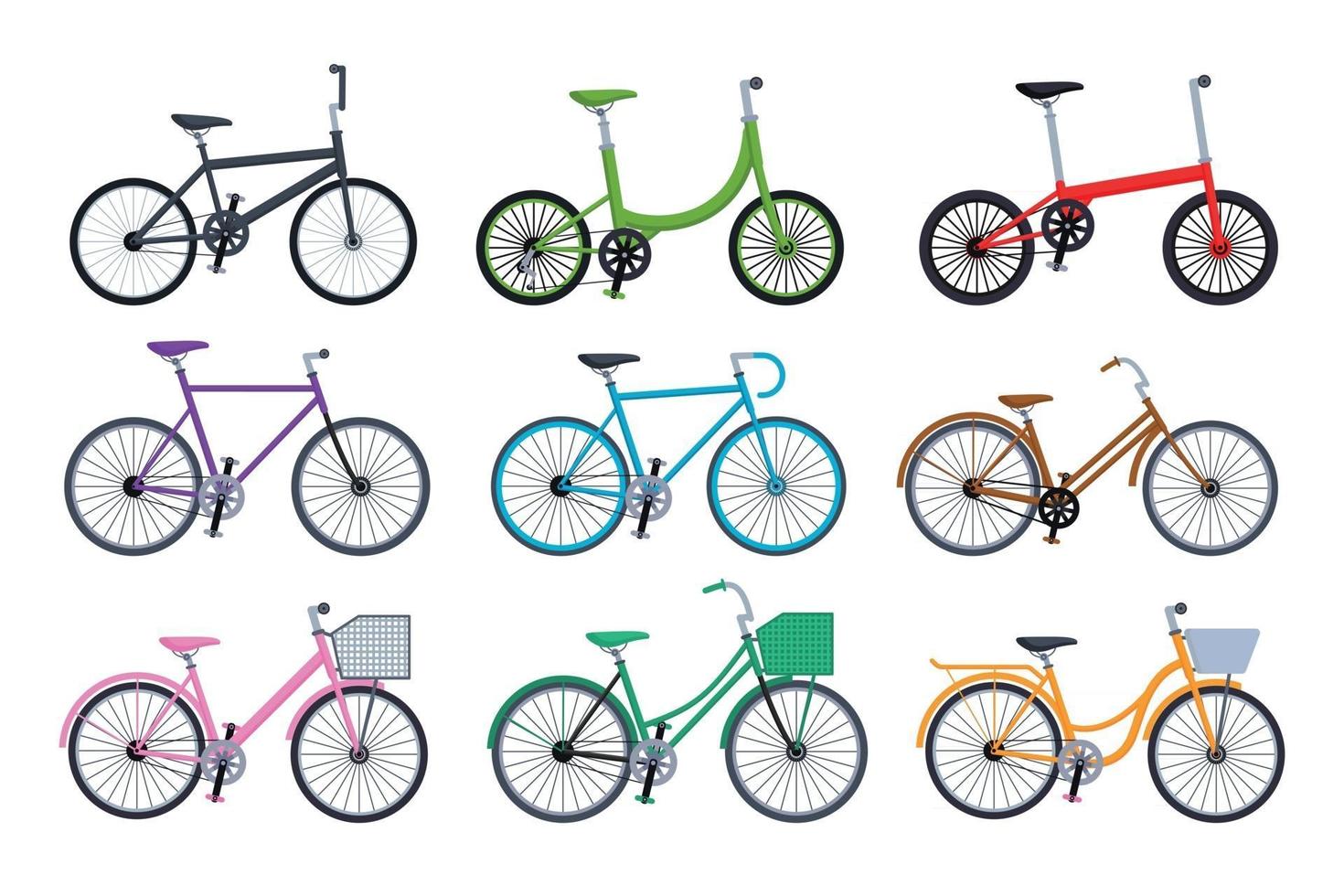 Set of different bicycles collection isolated on white background vector