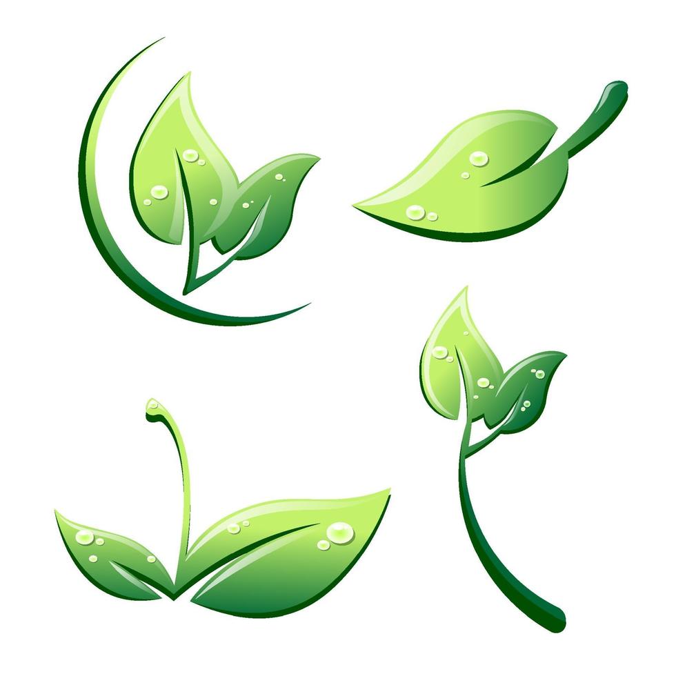 Leaves set in cartoon style with drops isolated on a white background vector