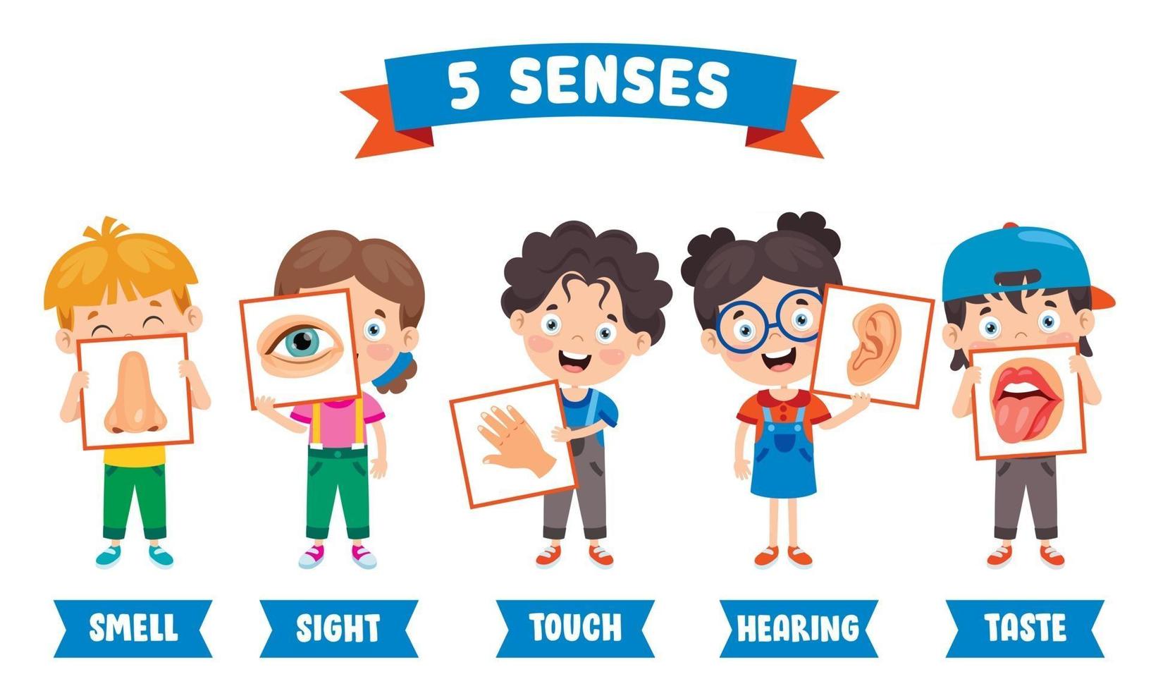 Five Senses Concept With Human Organs vector