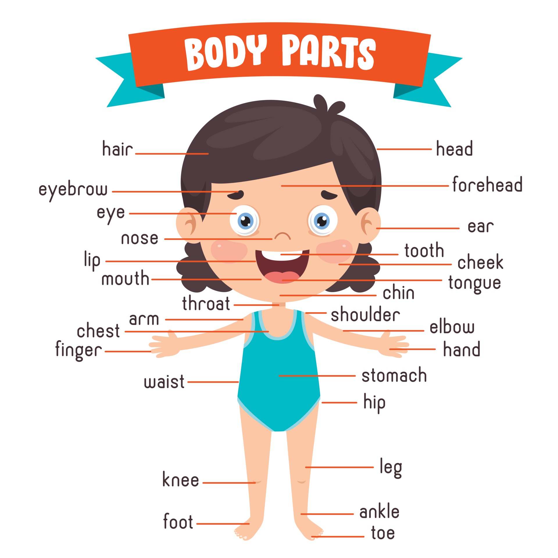 Download Funny Child Showing Human Body Parts for free.