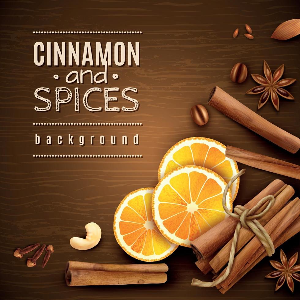 Cinnamon And Spices Background Vector Illustration