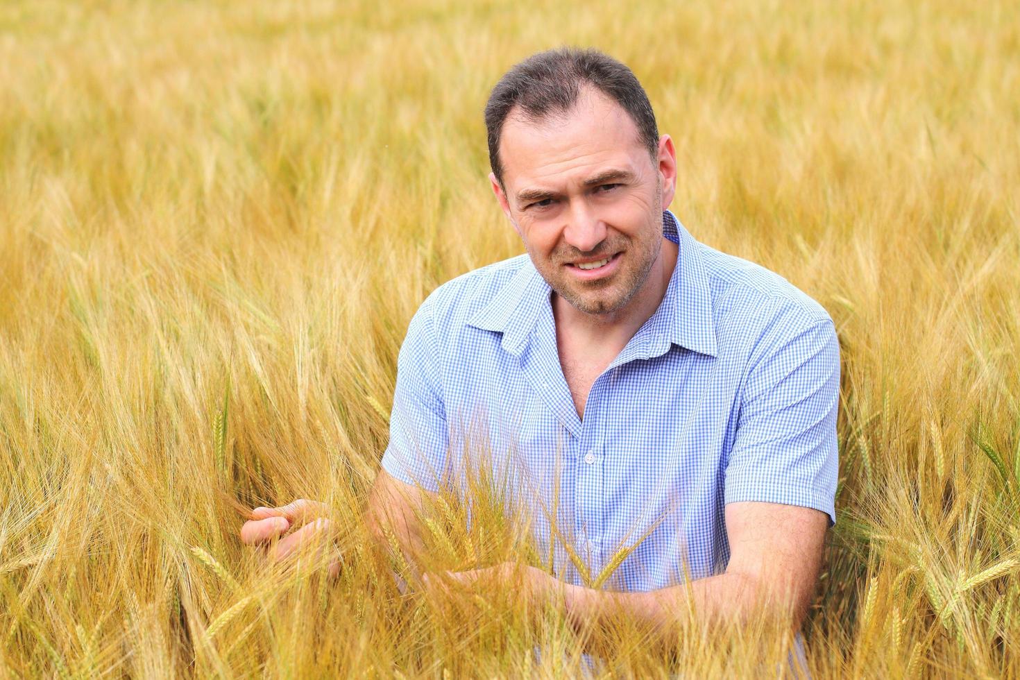 Man in a blue shirt in a rye field photo