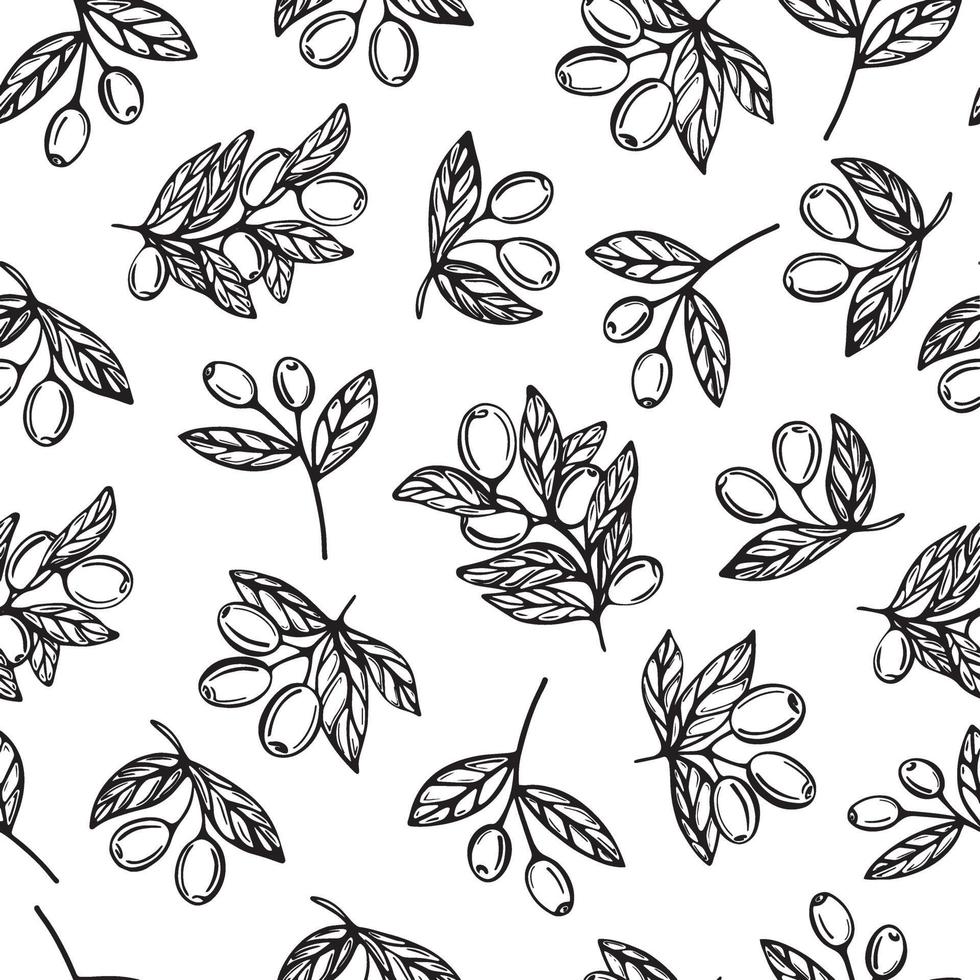 Olive oil seamless pattern. Olive branch pattern. Hand-drawn vector illustration