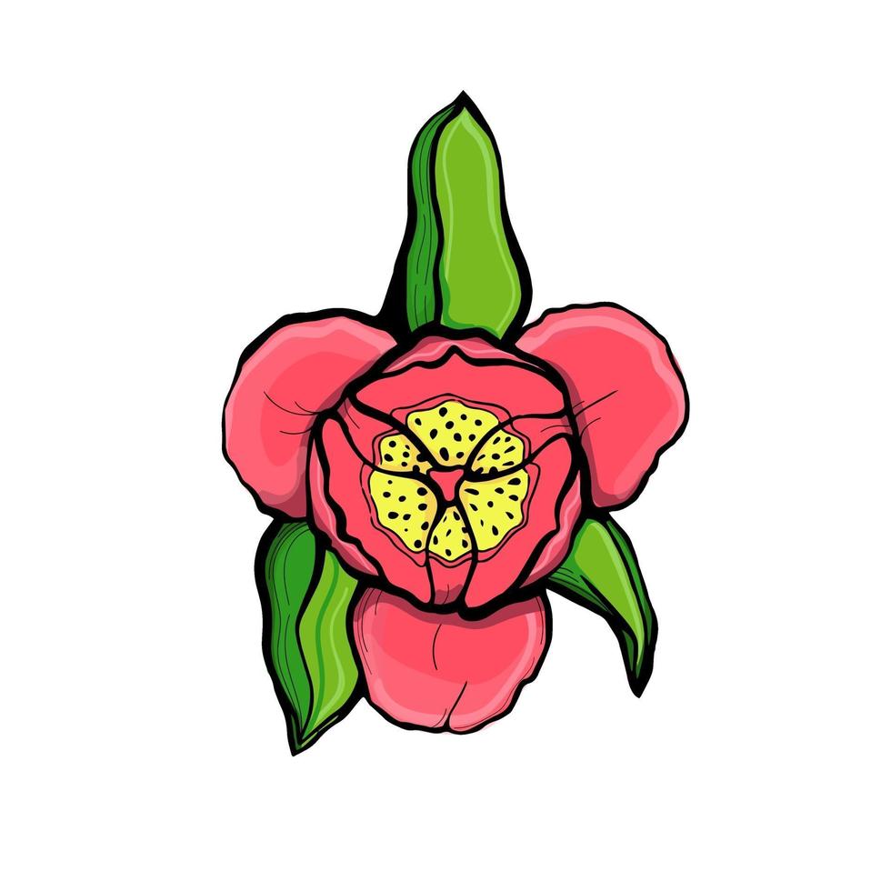 Ilustración de boceto con tallo de tulipán verde dibujado a mano.Tulip en un tallo con hojas, aislado en una ilustración de vector de fondo blanco. botánico, diseño floral para postales, textiles, impresión