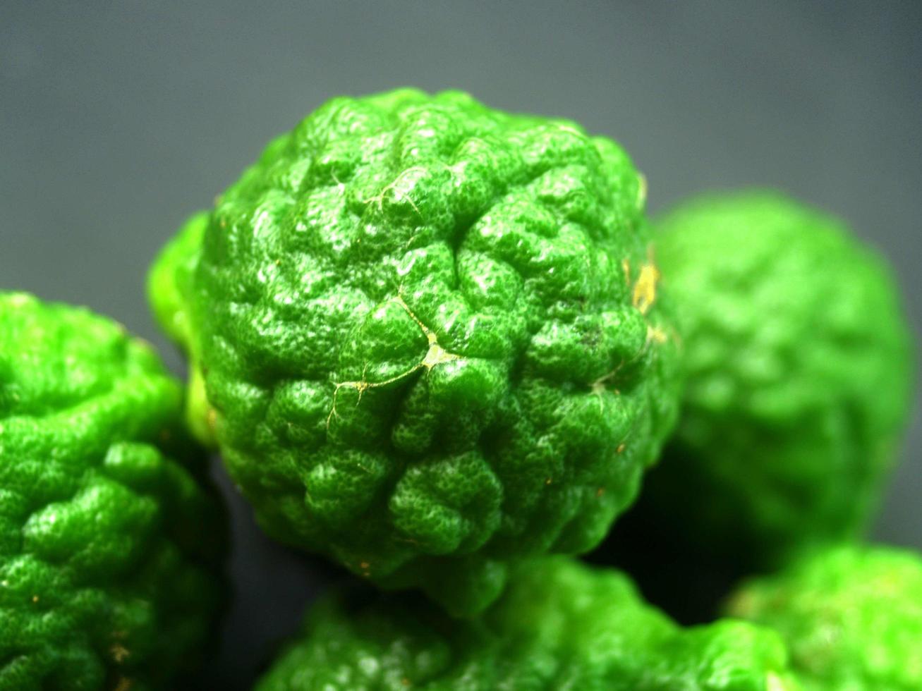 Bergamot Green Fruit photo