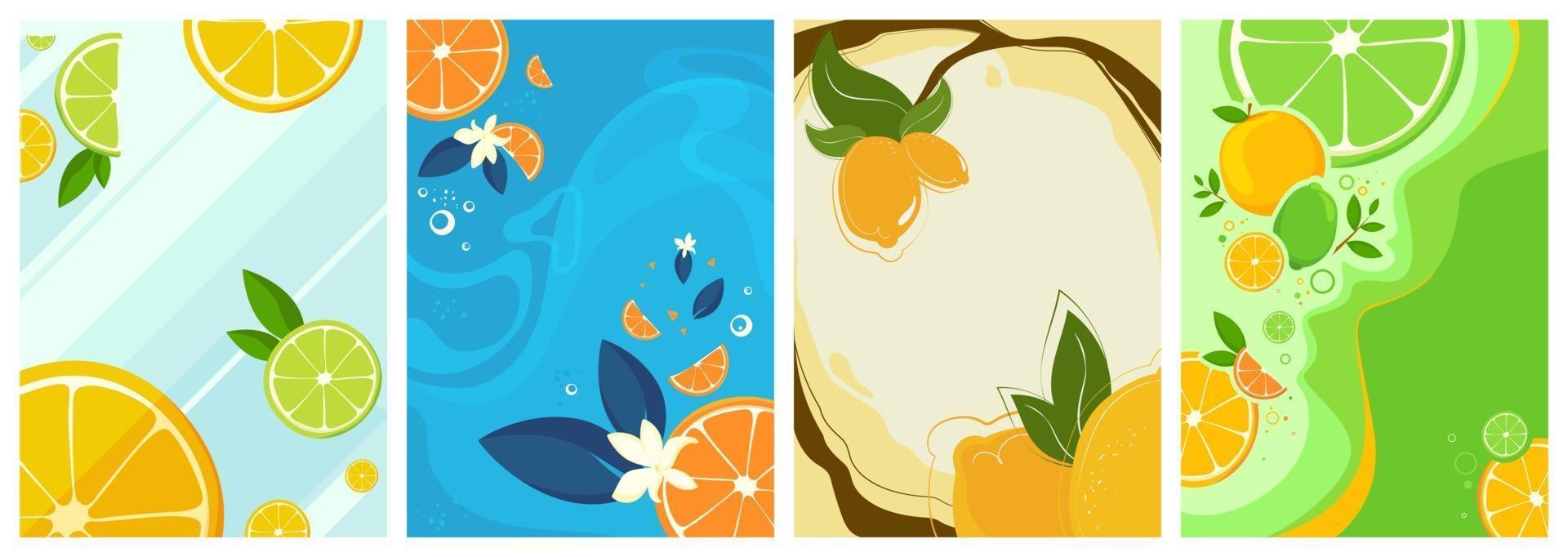 Collection of citrus fruit posters vector