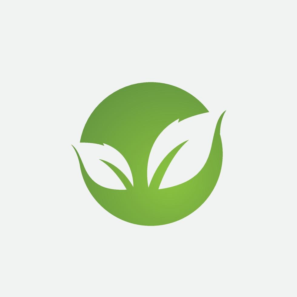 Green leaf ecological element vector icon logo