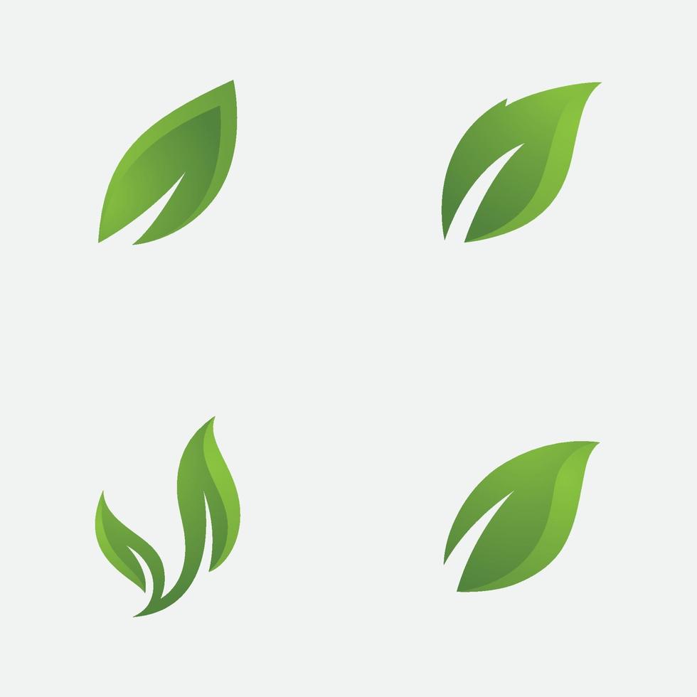 Green leaf ecological element vector icon logo