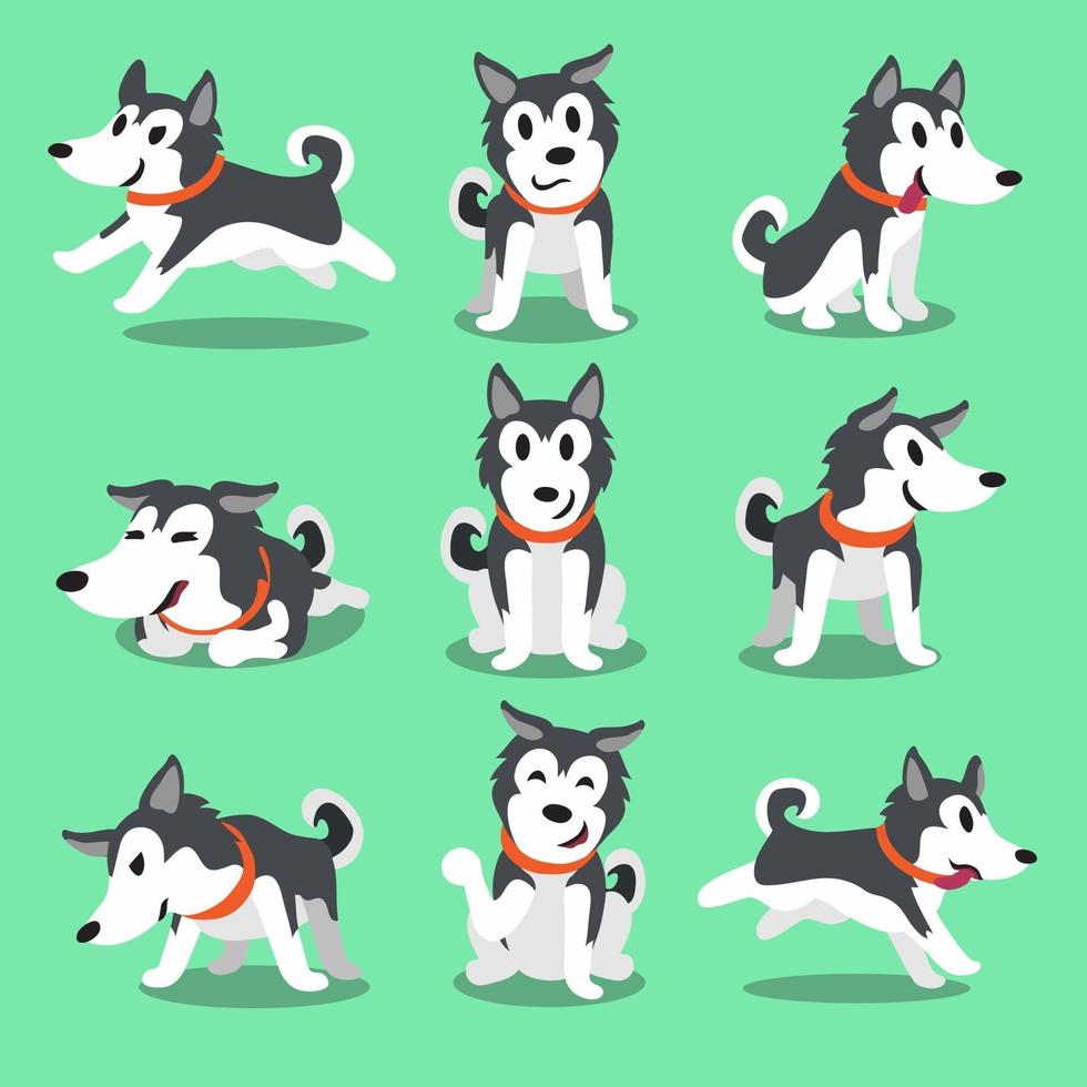 Cartoon character Siberian husky dog poses vector